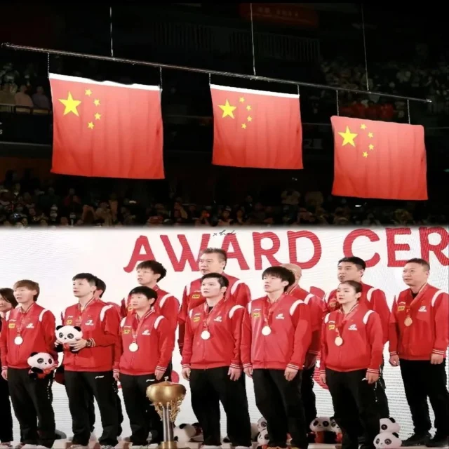 孙杨复出引关注赛场表现令人期待